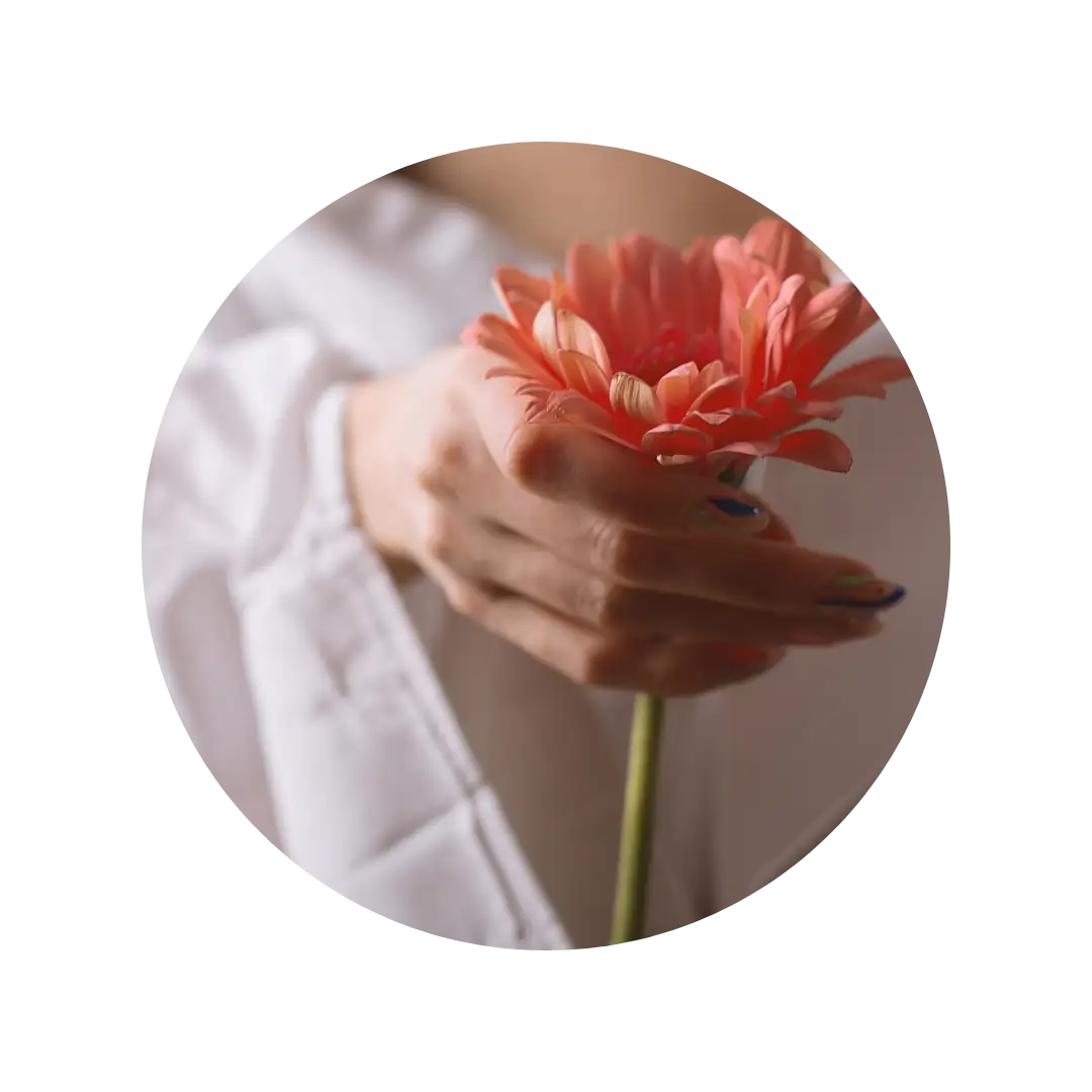 Vaginal Surgery - NCCRM